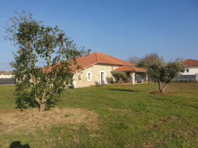 parc d'une maison avec végétaux