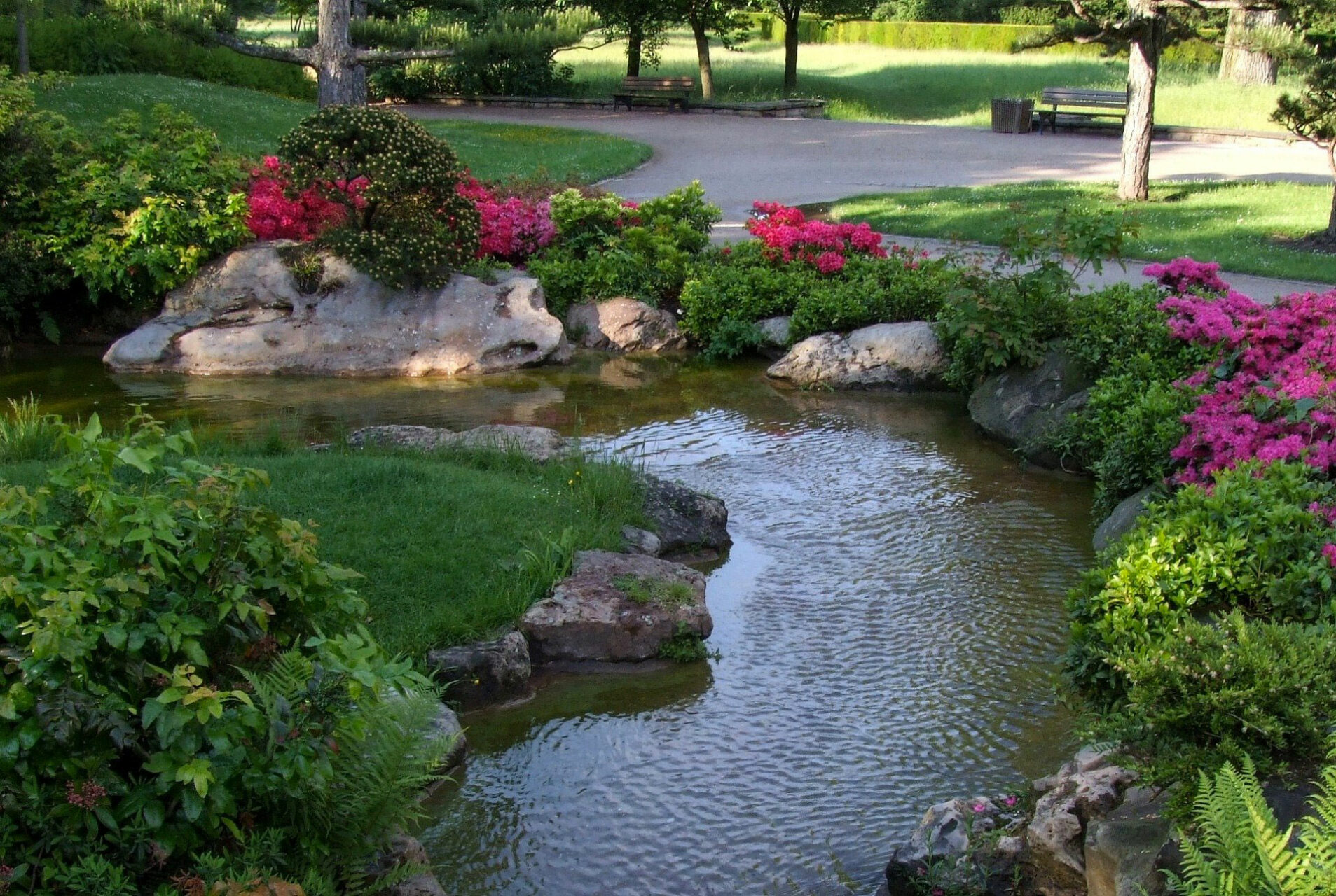 Peline Actualités et conseils - Les Jardins de Péline