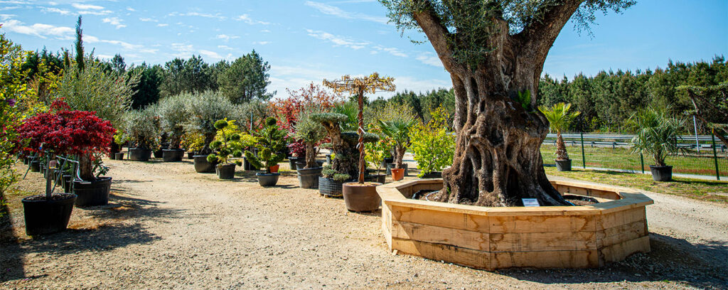 Peline Une jardinerie avec un service paysagiste - les jardins de Péline